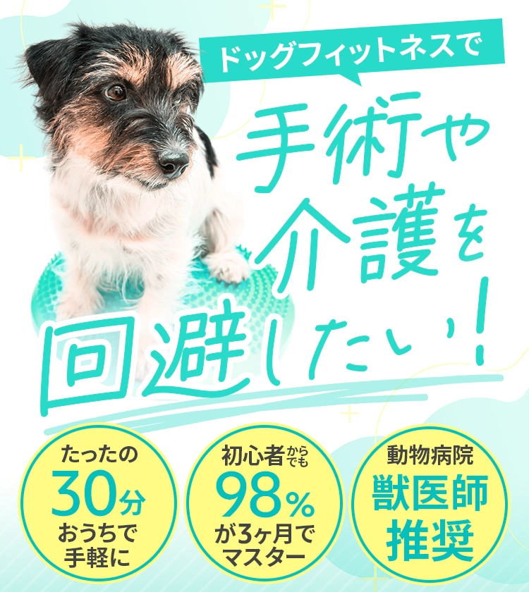 ドッグフィットネスで手術や介護を回避したい！・たったの30分 おうちで⼿軽に・初⼼者からでも98%が3ヶ⽉でマスター・動物病院 獣医師推奨