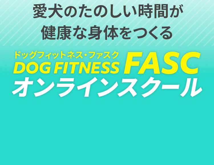 愛⽝のたのしい時間が健康な⾝体をつくる ドッグフィットネス ファスク オンラインスクール	DOG FITNESS FASC ONLINE SCHOOL