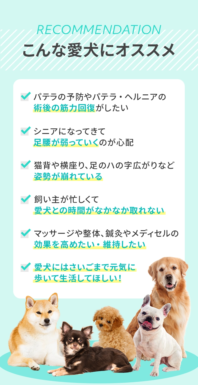 ＜こんな愛⽝にオススメ＞
				  ☑ パテラの予防やパテラ・ヘルニアの術後の筋⼒回復がしたい  ☑ シニアになってきて⾜腰が弱っていくのが⼼配
				  ☑ 猫背や横座り、⾜のハの字広がりなど姿勢が崩れている ☑ 飼い主が忙しくて愛⽝との時間がなかなか取れない
				  ☑ マッサージや整体、鍼灸やメディセルの効果を⾼めたい・維持したい ☑ 愛⽝にはさいごまで元気に歩いて⽣活してほしい！