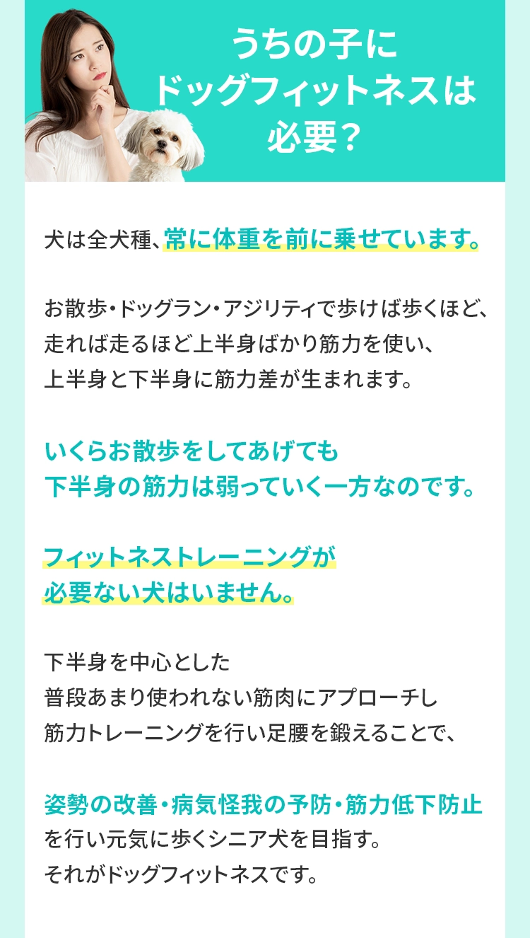 ＜うちの⼦にドッグフィットネスは必要？＞
				  ⽝は全⽝種、常に体重を前に乗せています。お散歩・ドッグラン・アジリティで歩けば歩くほど、⾛れば⾛るほど上半⾝ばかり筋⼒を使い、上半⾝と下半⾝に筋⼒差が⽣まれます。いくらお散歩をしてあげても下半⾝の筋⼒は弱っていく⼀⽅なのです。フィットネストレーニングが必要ない⽝はいません。下半⾝を中⼼とした普段あまり使われない筋⾁にアプローチし筋⼒トレーニングを⾏い⾜腰を鍛えることで、姿勢の改善・病気怪我の予防・筋⼒低下防⽌を⾏い元気に歩くシニア⽝を⽬指す。それがドッグフィットネスです。