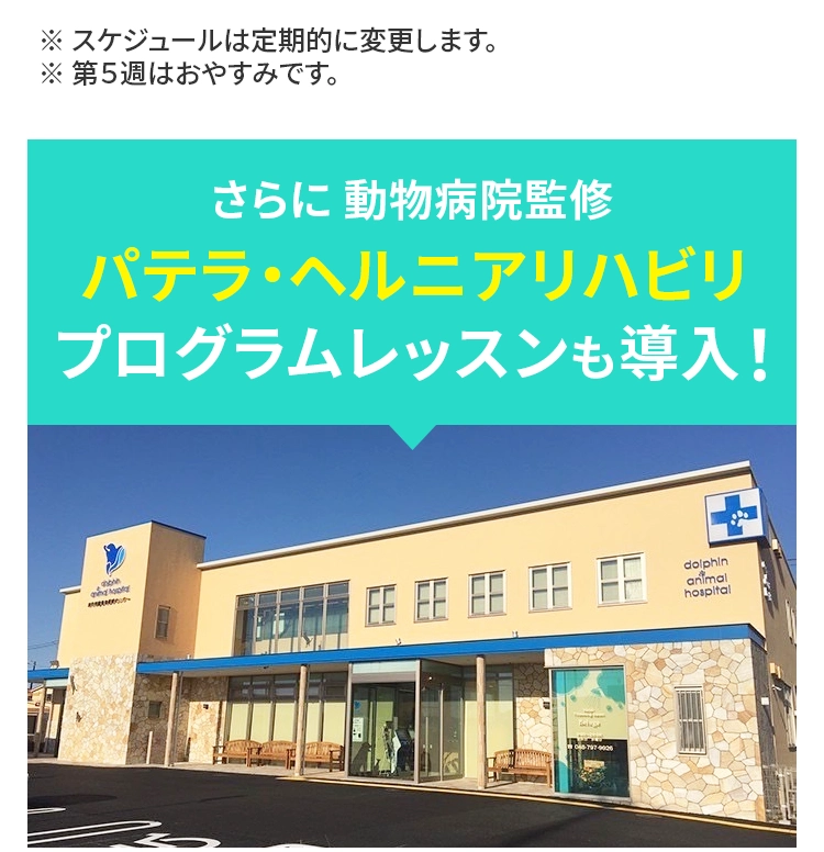 さらに 動物病院監修 パテラ・ヘルニアリハビリプログラムレッスンも導入！