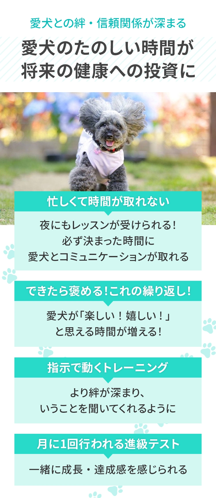 ＜愛⽝との絆・信頼関係が深まる＞
					  愛⽝のたのしい時間が将来の健康への投資に ・忙しくて時間取れない →夜にもレッスンが受けられる！必ず決まった時間に愛⽝とコミュニケーションが取れる ・できたら褒める！これの繰り返し！→愛⽝が楽しい！嬉しいと思える時間が増える！ ・指⽰で動くトレーニング →より絆が深まり、いうことを聞いてくれるように ・⽉に１回⾏われる進級テスト →⼀緒に成⻑・達成感を感じられる