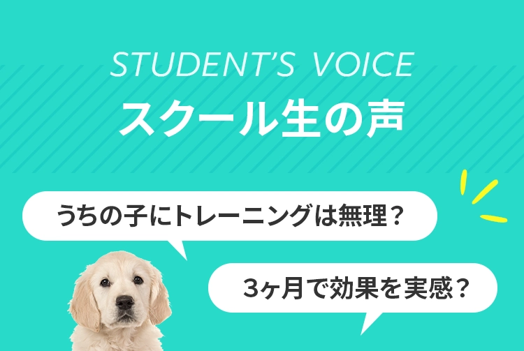 ＜スクール⽣の声＞・うちの⼦にトレーニングは無理？・３ヶ⽉で効果を実感？
