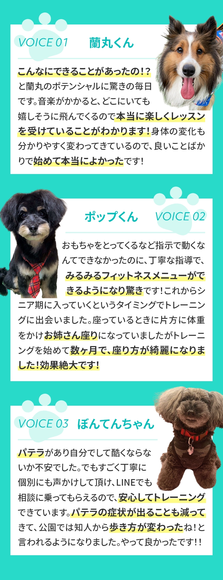 VOICE 01 蘭丸くん こんなにできることがあったの！？と蘭丸のポテンシャルに驚きの毎日です。音楽がかかると、どこにいても嬉しそうに飛んでくるので本当に楽しくレッスンを受けていることがわかります！身体の変化も分かりやすく変わってきているので、良いことばかりで始めて本当によかったです！
				  VOICE 02 ポップくん おもちゃをとってくるなど指示で動くなんてできなかったのに、丁寧な指導で、みるみるフィットネスメニューができるようになり驚きです！これからシニア期に入っていくというタイミングでトレーニングに出会いました。座っているときに片方に体重をかけお姉さん座りになっていましたがトレーニングを始めて数ヶ月で、座り方が綺麗になりました！効果絶大です！
				  VOICE 03 ぼんてんちゃん パテラがあり自分でして酷くならないか不安でした。でもすごく丁寧に個別にも声かけして頂け、LINEでも相談に乗ってもらえるので、安心してトレーニングできています。パテラの症状が出ることも減ってきて、公園では知人から歩き方が変わったね！と言われるようになりました。やって良かったです！！
