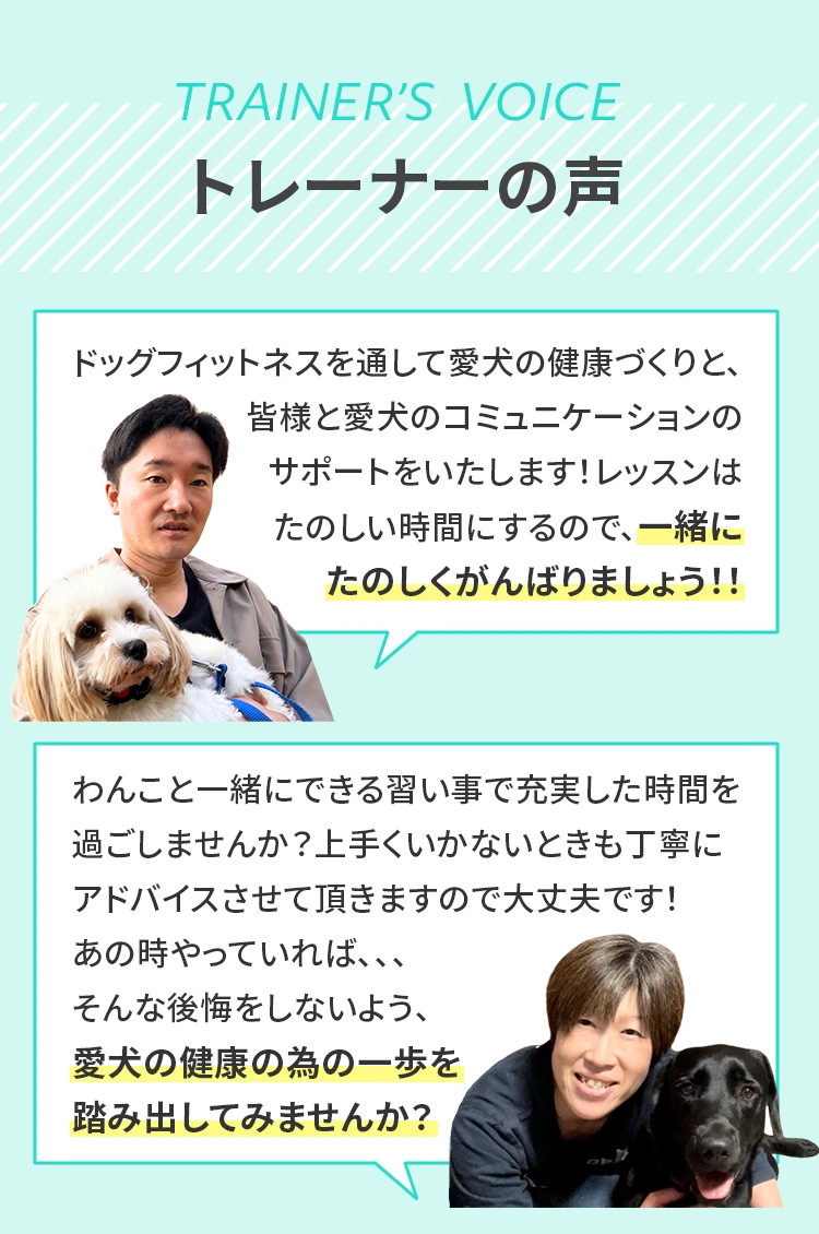 トレーナーの声 ドッグフィットネスを通して愛犬の健康づくりと、皆様と愛犬のコミュニケーションのサポートをいたします！レッスンはたのしい時間にするので、一緒にたのしくがんばりましょう！！わんこと一緒にできる習い事で充実した時間を過ごしませんか？上手くいかないときも丁寧にアドバイスさせて頂きますので大丈夫です！あの時やっていれば、、、そんな後悔しないよう、愛犬の健康の為の一歩を踏み出してみませんか？