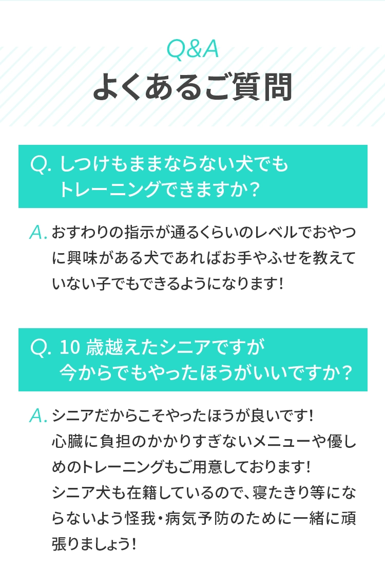 ＜Q&A＞
				  Q しつけもままならない⽝でもトレーニングできますか？A おすわりの指⽰が通るくらいのレベルでおやつに興味がある⽝であればお⼿やふせを教えていない⼦でもできるようになります！
				  Q 10 歳越えたシニアですが今からでもやったほうがいいですか？A シニアだからこそやったほうが良いです！⼼臓に負担のかかりすぎないメニューや優しめのトレーニングもご⽤意しております！シニア⽝も在籍しているので、寝たきり等にならないよう怪我・病気予防のために⼀緒に頑張りましょう！